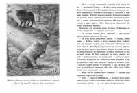 Гобболино - ведьмин кот / Уильямс Урсула Морэй Printed books Мелик Пашаев