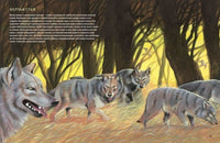 Клыки и когти. Мир больших хищников Printed books Гудвин