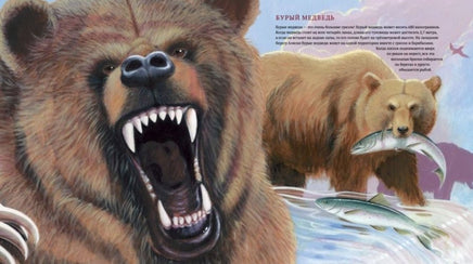 Клыки и когти. Мир больших хищников Printed books Гудвин