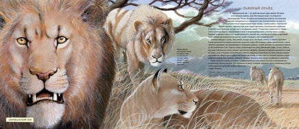 Клыки и когти. Мир больших хищников Printed books Гудвин