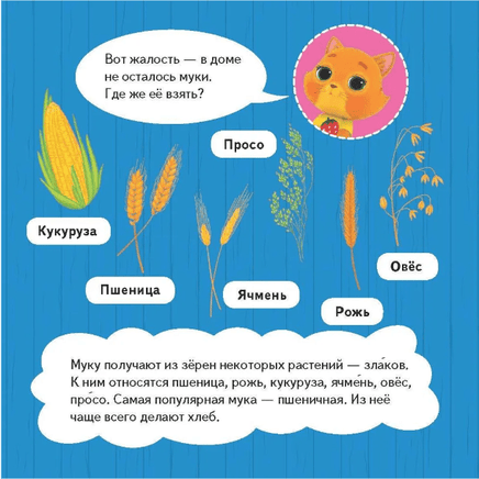 Кошечки-собачки. Знакомимся с профессиями: Буся-кондитер! Printed books Питер