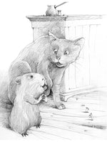 Кот Тихон и новые знакомые Вилли Винки
