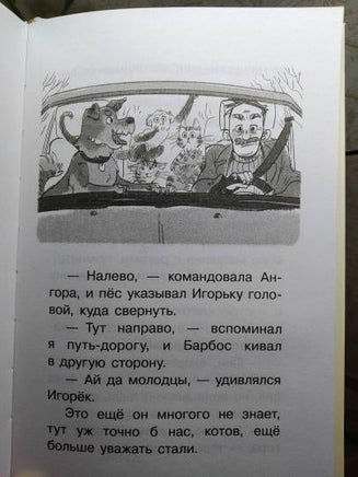 Котовасия. Дорога домой. АСТ