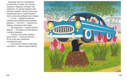 Кротик. Большая книга. сборник Printed books Росмэн