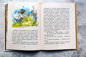 Лёшкины карандаши . Доброчасова А. ИД Мещерякова
