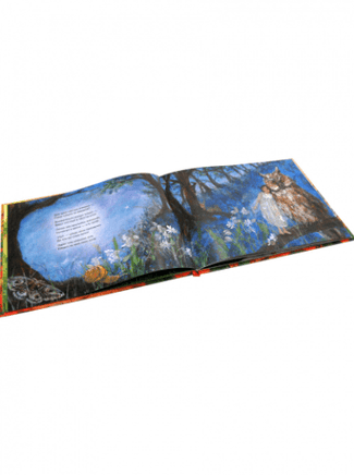 Летим в страну эльфов Printed books Добрая книга