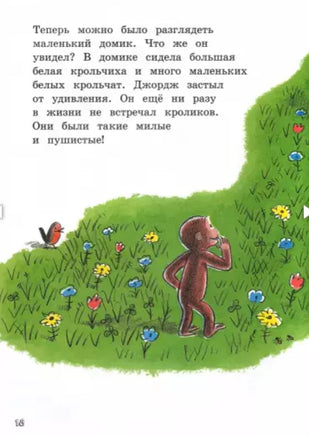 Любопытный Джордж и воздушный змей Printed books Лабиринт