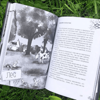Мальчик с угрюмым лицом, или необычайная лесная история. Н. Домбайджи Printed books Фолиант