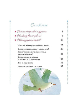 Маленькие большие проблемы. Ненавижу ваши правила! BHV