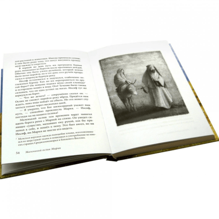 Маленький ослик Марии. Бегство в Египет Printed books Добрая книга