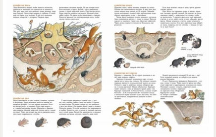 В лесу. Багин Пётр Printed books Мелик Пашаев