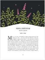 Ведьмин сад. Тайная сила трав. Printed books Росмэн