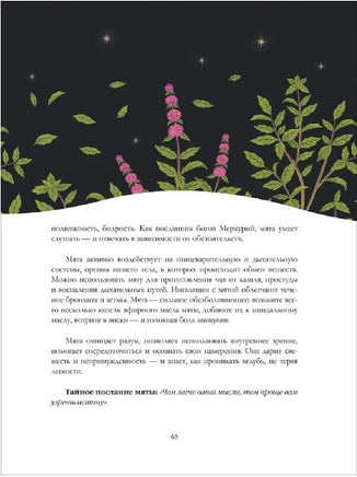 Ведьмин сад. Тайная сила трав. Printed books Росмэн