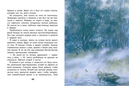Носов Е. Живое пламя Printed books СТРЕКОЗА