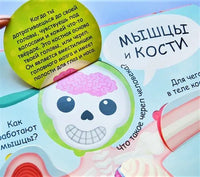 Мое тело. Волшебные окошки Printed books Робинс