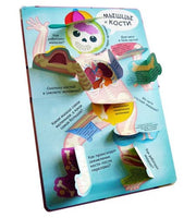 Мое тело. Волшебные окошки Printed books Робинс