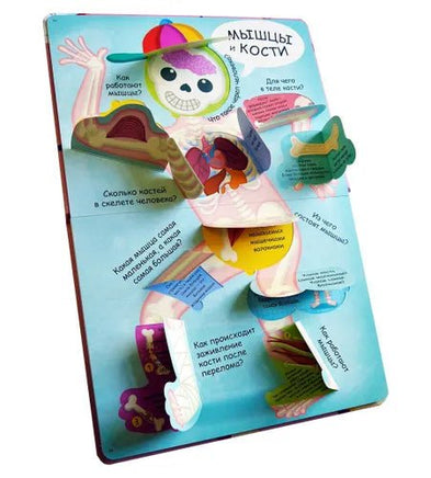 Мое тело. Волшебные окошки Printed books Робинс