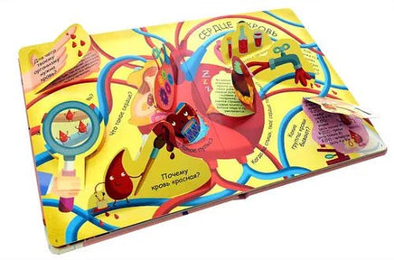 Мое тело. Волшебные окошки Printed books Робинс