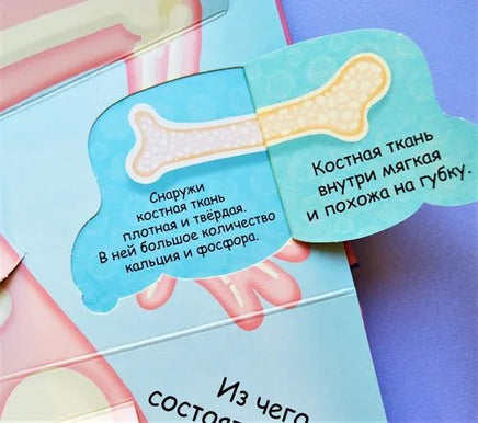 Мое тело. Волшебные окошки Printed books Робинс