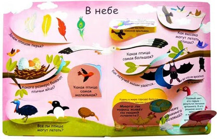 Животные. Волшебные окошки. Printed books Робинс