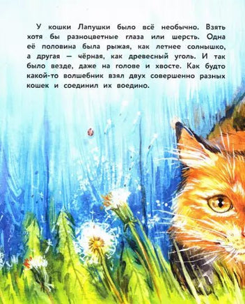 Воспитание с любовью. Вместе не страшно СТРЕКОЗА