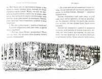 Всё о малыше Николя МАХАОН