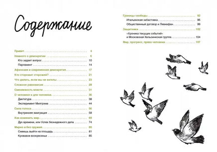 Вы зачем здесь собрались? Книга о демократии Самокат