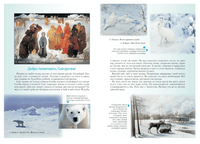 Занимательное природоведение для малышей Printed books Белый город