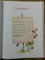 Земляничная фея. Весёлое путешествие. Дале Штефани Printed books Вилли Винки