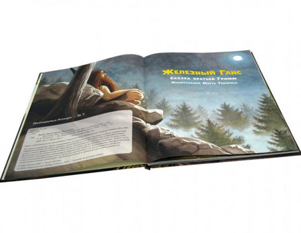 Железный Ганс Printed books Добрая книга