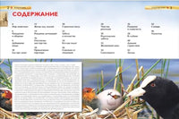 Животные. Детская энциклопедия для школьников Printed books Росмэн