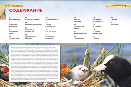 Животные. Детская энциклопедия для школьников Printed books Росмэн