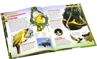 Животные. Детская энциклопедия для школьников Printed books Росмэн