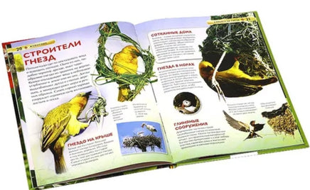Животные. Детская энциклопедия для школьников Printed books Росмэн
