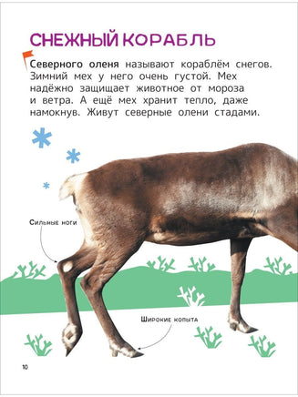 Животные. Энциклопедия для первого чтения с крупными буквами Printed books Росмэн