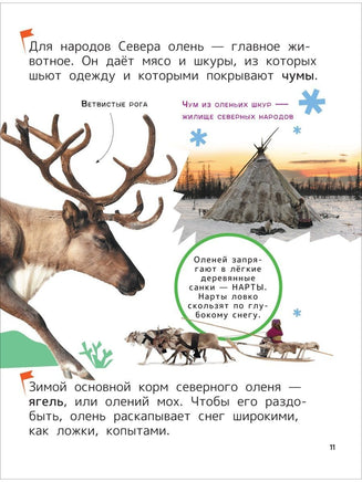 Животные. Энциклопедия для первого чтения с крупными буквами Printed books Росмэн