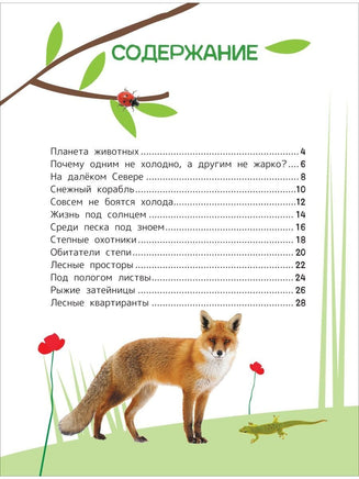 Животные. Энциклопедия для первого чтения с крупными буквами Printed books Росмэн