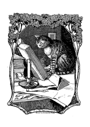 Житейские воззрения кота Мурра. Гофман Э.Т.А. Printed books СЗКЭО