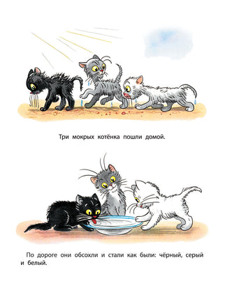 Сказки в картинках. В. Сутеев Printed books АСТ