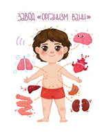 Как устроен человек: энциклопедия для малышей в сказках Printed books Феникс-Премьер