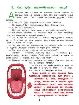 Как устроен человек: энциклопедия для малышей в сказках Printed books Феникс-Премьер