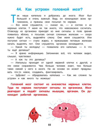 Как устроен человек: энциклопедия для малышей в сказках Printed books Феникс-Премьер