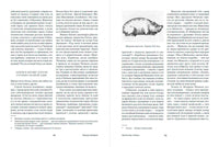 Мертвые души. Николай Гоголь Printed books Альпина