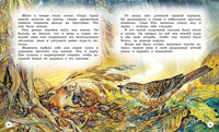 Сказки и рассказы о животных. Бианки В. Printed books МАХАОН
