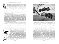 Рассказы о животных. Сетон-Томпсон Э. Printed books Иностранка