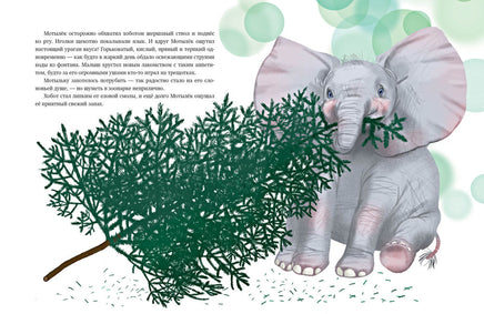 Мотылёк и волшебный шар. М. Шебеко Printed books Нигма