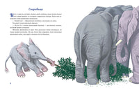Мотылёк и волшебный шар. М. Шебеко Printed books Нигма