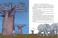 Мотылёк и волшебный шар. М. Шебеко Printed books Нигма