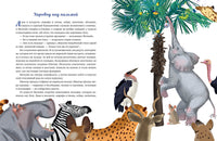 Мотылёк и волшебный шар. М. Шебеко Printed books Нигма