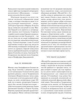Мелкий бес. Федор Сологуб Printed books Альпина